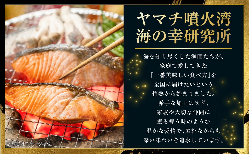 漁師の手作り！ 甘塩鮭 切り身 約2kg （2～3切れ入×6パック）甘塩仕上げ 小分け