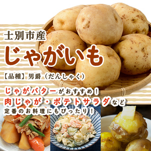 野菜 詰め合わせ 20kg たまねぎ かぼちゃ じゃがいも 北海道産 2026年10月中旬以降順次発送 【士別農園】C7037