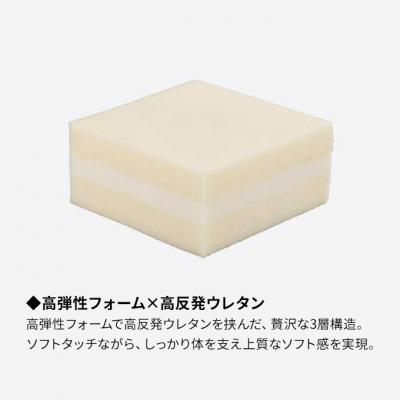 ふるさと納税 安芸高田市 ドリームベッド サータ グランドノア パーソナルシングル[No5895-0719] |  | 01