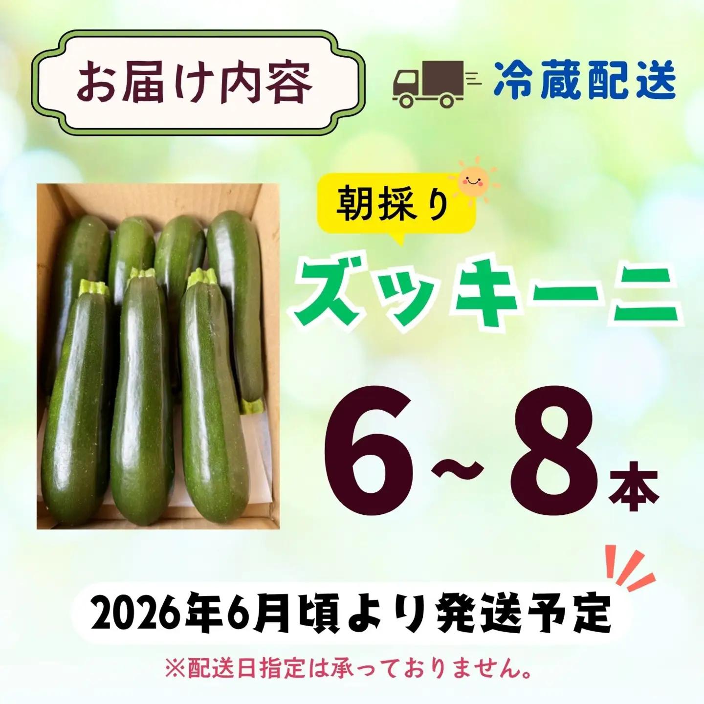 朝採り!! ズッキーニ 岸田農園 ズッキーニ