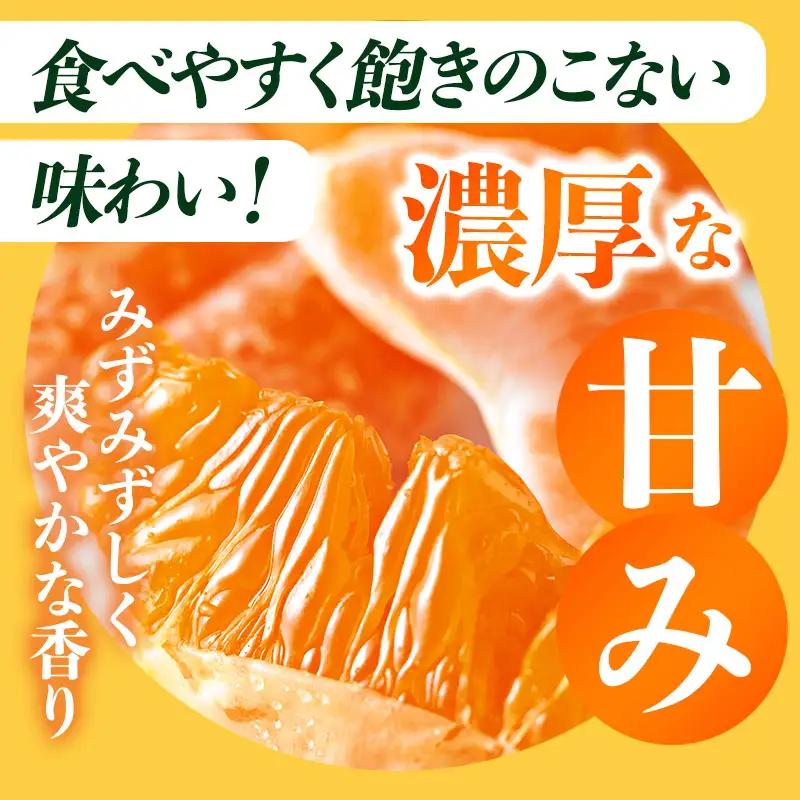【先行予約】愛媛みかんバラ詰め（5kg）