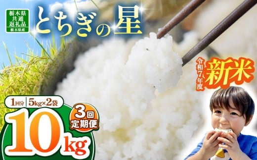 【栃木県共通返礼品】【令和7年度新米】 訳あり 栃木県産とちぎの星 30kg |定期便 選べる  ふるさと 納税 とちぎの星 お米 精米 白米 玄米 大粒 共通返礼品 送料無料 那珂川町 栃木県