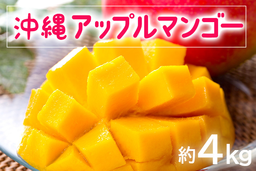
            【 先行予約 2025年 発送 】お手頃 「沖縄 アップルマンゴー 」 4kg 沖縄県産 マンゴー アーウィンマンゴー 4キロ 国産 完熟マンゴー 果物 南国 くだもの フルーツ 完熟 夏 旬 お取り寄せ 産地直送 農家直送 甘い 濃厚 糸満市 
          