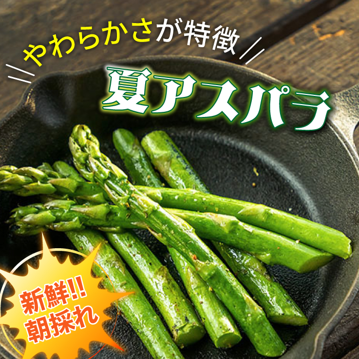 【2025年6月初回発送】【3回定期便】【星のアスパラ】夏のグリーンアスパラガス 約1kg / アスパラ 野菜 / 南島原市 / ほしのYA [SEY014]_イメージ3
