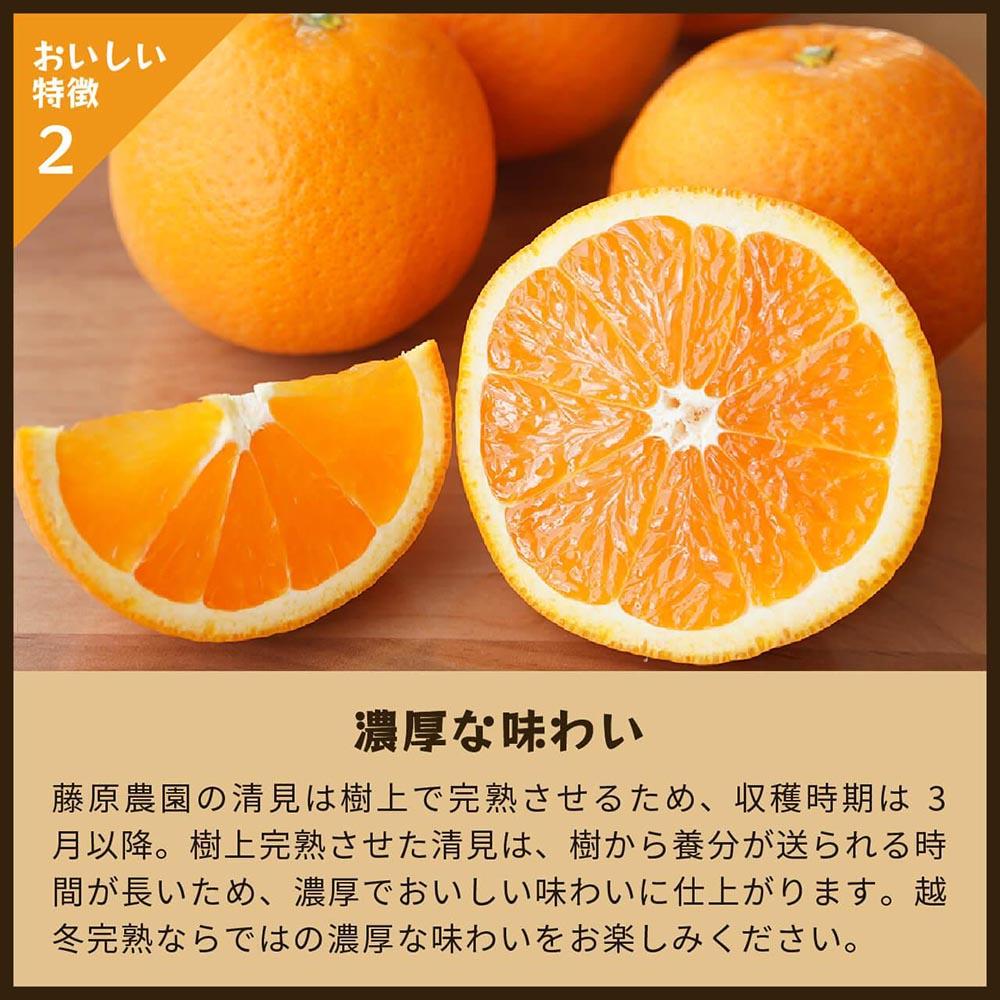 清見オレンジ（みかん）4kg｜和歌山県海南市下津町で育てた和製オレンジを産地直送でお届け【2025年3月～発送予定】