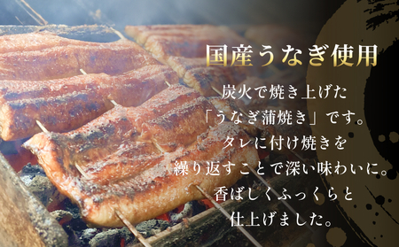 【訳あり】うなぎ蒲焼（ハーフカット・4枚入り） 富山県 氷見市 鰻 ウナギ カット
