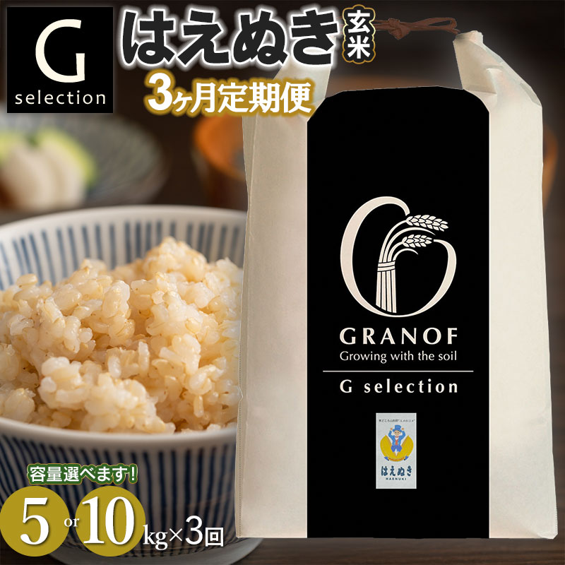 【ふるさと納税】【3ヶ月定期便】令和7年産【新米】Gセレクション はえぬき 玄米 山形県鶴岡産　選べる容量(5kg or 10kg) ×3ヶ月　（毎月1回中旬発送）　株式会社グラノフ