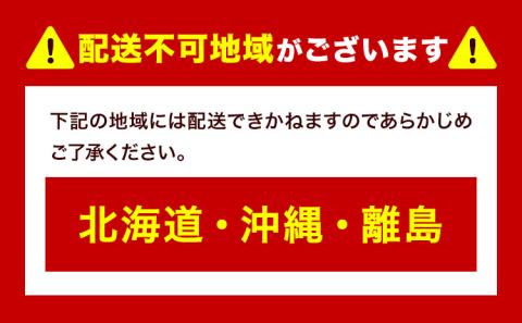 【先行予約】白桃 岡山 6玉 ウィズフラワーホールディングス《7月上旬-9月上旬頃出荷》桃 もも フルーツ 旬 果物【配送不可地域あり】 ---124_c389_7j9j_23_27000_6---