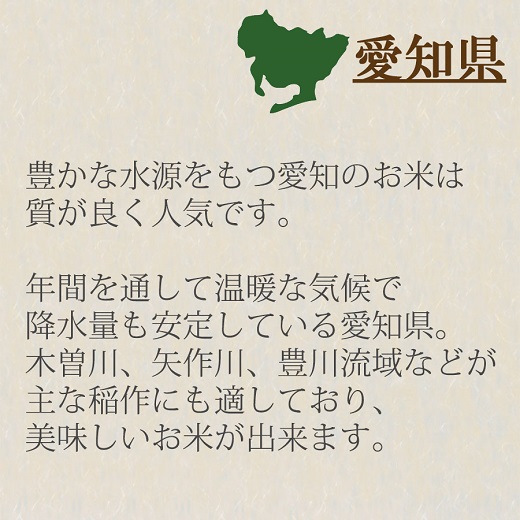 愛知県産あいちのかおり 10kg ※6回定期便　こめ コメ ごはん 安心安全なヤマトライス 米 白米 国産 精米 10キロ　H074-694