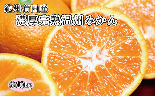 
            【先行予約】完熟有田みかん　10kg　※2025年11月下旬頃〜2026年1月下旬頃に順次発送予定(お届け日指定不可)【uot705】
          