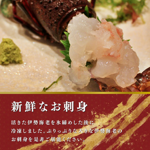 活伊勢海老 　400-600g2匹　約1kg分【配送不可地域：離島・北海道・沖縄県・東北・中国・四国・九州】【1550543】
