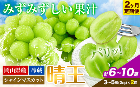 シャインマスカット 2ヶ月 定期便【先行予約】シャインマスカット 晴王 3-5房 約2kg 岡山県産《9月上旬-10月末頃出荷(土日祝除く)》 ハレノフルーツ マスカット 送料無料 岡山県 浅口市 フルーツ 果物 贈り物 ギフト 国産 岡山県産 くだもの【配送不可地域あり】（北海道・沖縄・離島）