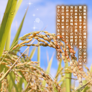 【令和7年産 白米】 キヌヒカリ 5kg お米 きぬひかり 米
