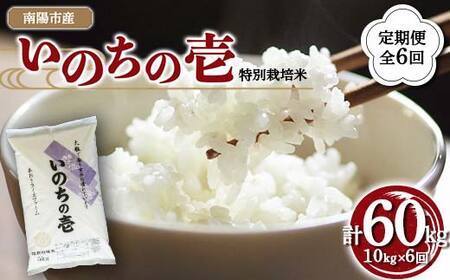 【金賞受賞農家】 《定期便6回》 令和7年産 特別栽培米 いのちの壱 計10kg(5kg×2袋)×6か月 『あおきライスファーム』 山形南陽産 米 白米 精米 ご飯 山形県 南陽市 [2669]