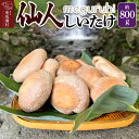 【ふるさと納税】meguruhi 仙人しいたけ 約800g