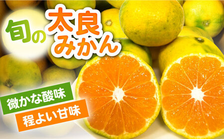 早熟みかん 計3kg（2.6kg＋400g傷み保証分） / 佐賀県 / 山本農園 [41ATBT001]