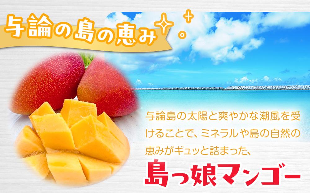 与論島産　島っ娘マンゴー（秀品）2kg　5～6玉　糖度13度以上【先行予約：2025年7月上旬以降発送】
