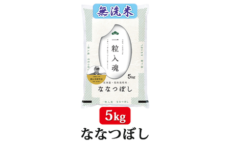 6ヵ月定期便北海道産ななつぼし 無洗米 5kg 2025年産米 ななつぼし
