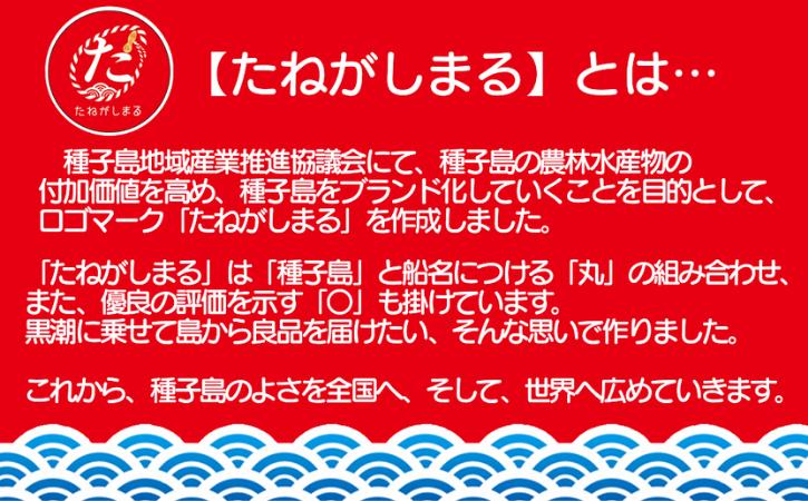 【たねがしまる4000】 射場貴大茶園  煎茶 「 極上 」 粉末（ふんまつ）緑茶　NFN946【100pt】// 一番茶 カテキン 食物繊維 緑茶 