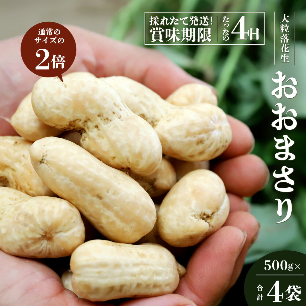 【ふるさと納税】食べ応え抜群の大粒落花生「おおまさり」500g袋×4袋≪数量限定≫ 鹿児島県産