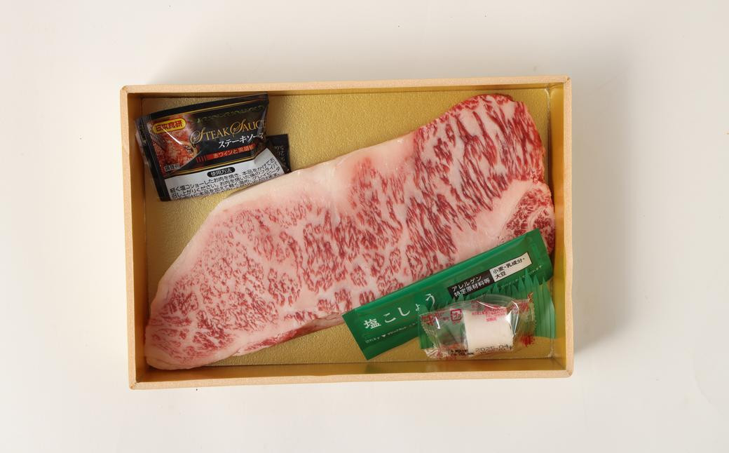 長崎和牛 ヒレ・サーロインセット 計400g ／ 和牛 国産 肉 お肉 牛肉 ステーキ 焼肉 バーベキュー 