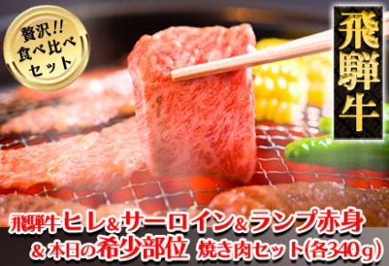 飛騨牛ヒレ・サーロイン・ランプ赤身・本日の希少部位焼肉セット 各340g  牛肉 国産 ブランド牛【11-57】【冷凍】