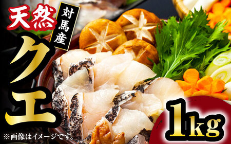 【 対馬産 】 天然 クエ 1kg（500g×2）（切り身） 鍋 高級 [WAB011] クエ くえ