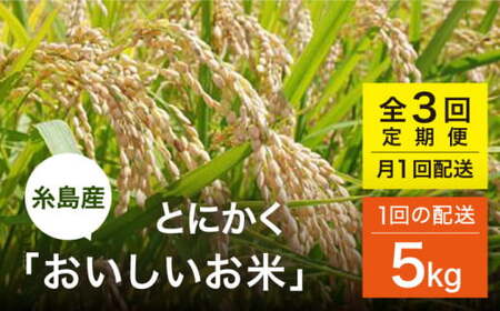 【全3回(月1)定期便】とにかくおいしいお米 ひのひかり または にこまる 5kg 糸島市 シーブ [AHC047]