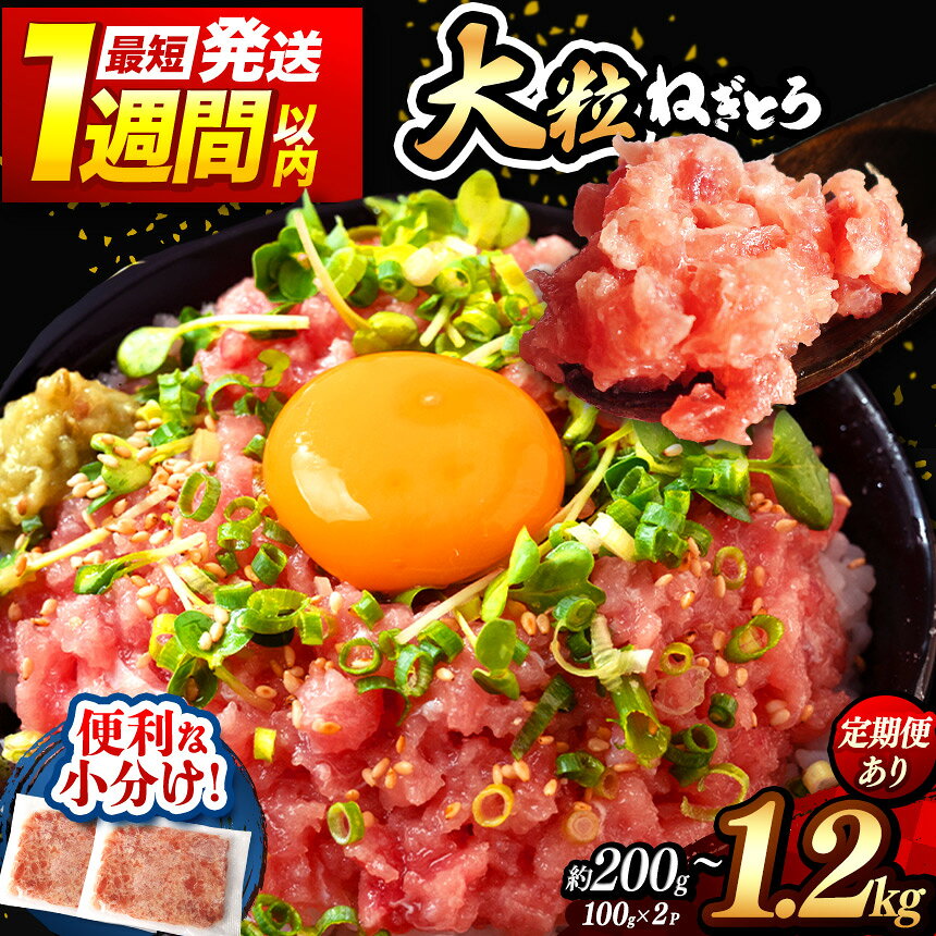 【ふるさと納税】 ネギトロ 100g パック （大盛り1人前） 定期便 200g 400g 500g 900g 1200g 1週間以内発送 | お試し ねぎとろ まぐろ 小分け 手詰め | 清幸丸水産 高評価 たたき タタキ 鮪 maguro 手巻き ユッケ イチオシ 千葉県 君津市 きみつ