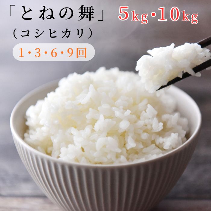 【ふるさと納税】 選べる容量・回数《 令和7年産 》米 コシヒカリ 「 とねの舞 」 精米 ／ 米 こめ コメ お米 おこめ コシヒカリ こしひかり とねの舞 新米 白米 ごはん 令和7年産 5kg 10kg 茨城県 利根町 送料無料