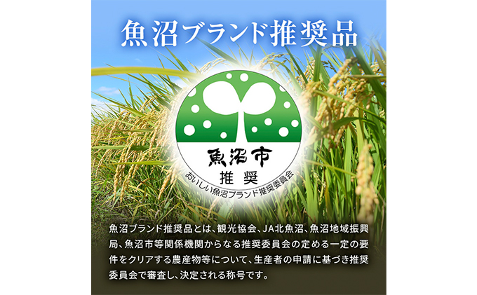 [令和5年産]【新潟県認証・特別栽培米】魚沼産こしひかり(精米)１２kg(2kg×6)