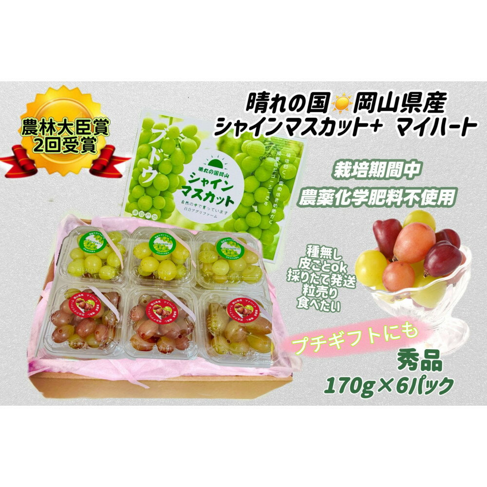 【ふるさと納税】ぶどう 2026年 シャインマスカット＆マイハート 小分け 秀品 粒だけ 約170g 6パック 岡山 果物 フルーツ 8月中旬から発送
