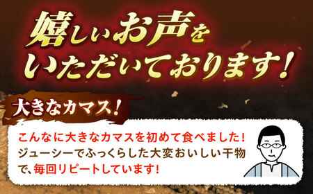特大アカカマスの開き 干物 計600g（3～4枚）《壱岐市》【馬渡水産】かます カマス アカカマス 赤カマス ひもの 干物 冷凍配送[JAQ036]
