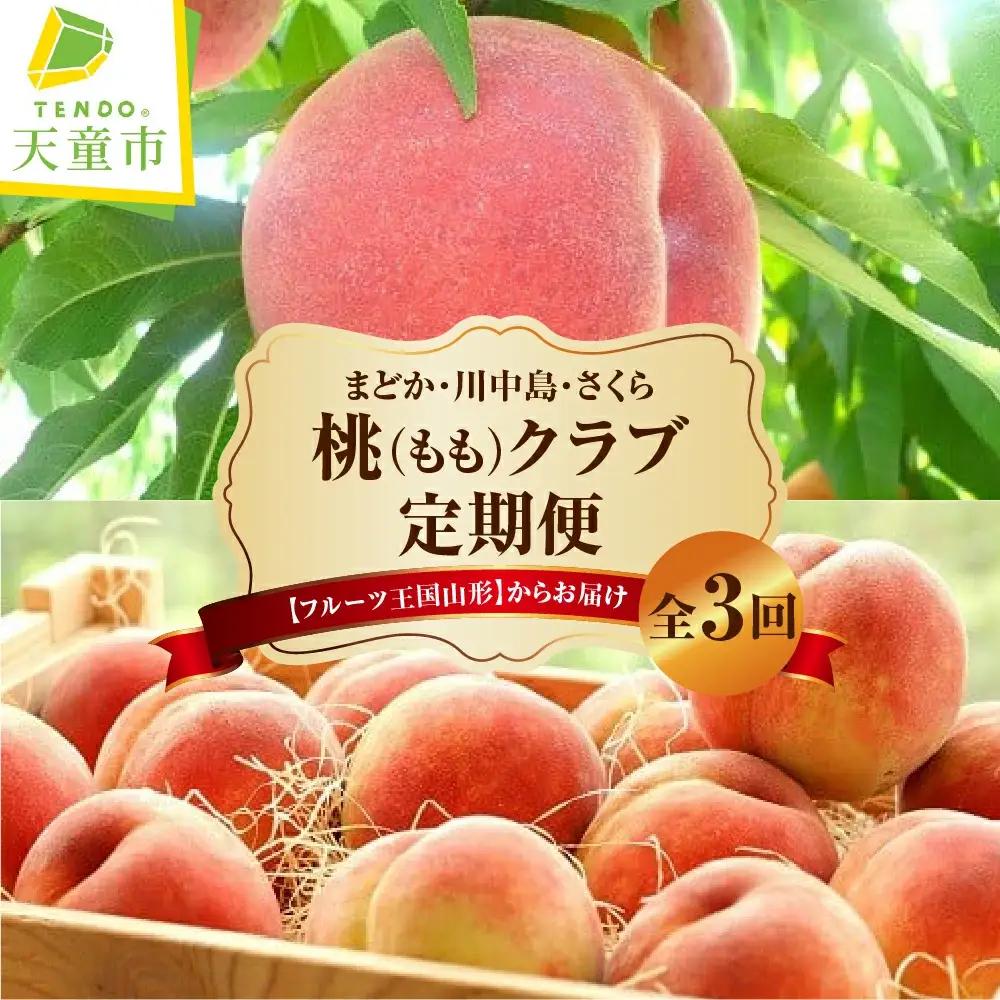 桃 クラブ 定期便 全3回 フルーツ 果物 山形 フルーツ定期便