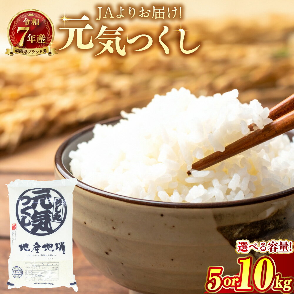 【ふるさと納税】＜選べる内容量＞【令和7年産】JAよりお届け！福岡県ブランド米「元気つくし」5kgまたは10kg お米 コメ ご飯 ごはん 元気つくし 令和7年産 福岡県産 国産 5kg 10kg 精米 ブランド米 福岡県 岡垣町 送料無料