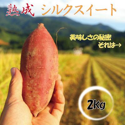ふるさと納税 新庄市 栽培期間中、農薬・化学肥料不使用　熟成『シルクスイート』 2kg