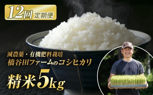 
                  ＜定期便12ヶ月＞令和8年産米 減農薬・有機肥料栽培 西会津産米コシヒカリ 精米 5kg 米 お米 おこめ ご飯 ごはん 福島県 西会津町 F4D-2478
                