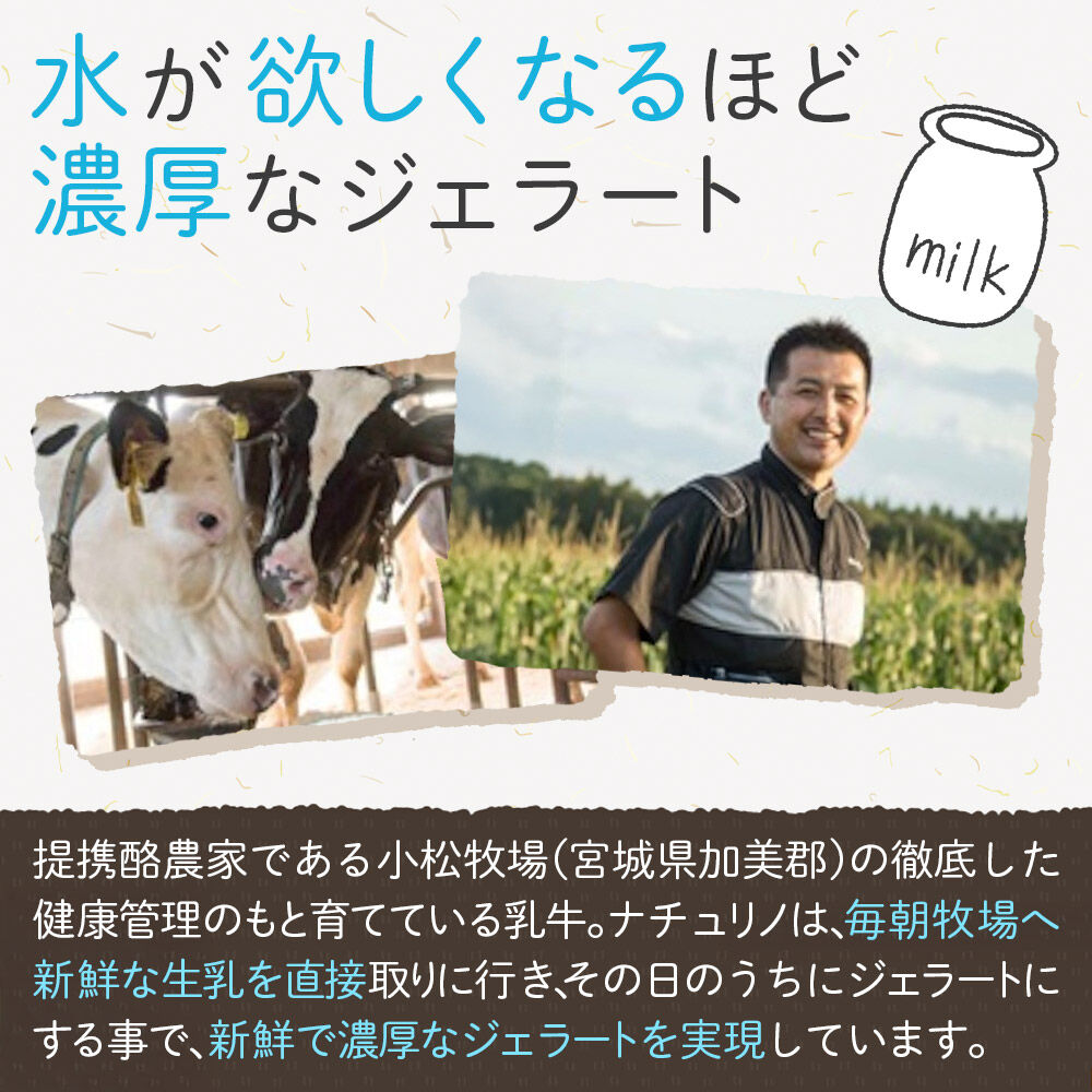ナチュリノ自慢の「ずんだ」ジェラート 6個パック 自然派 人気店 Gelateria Natu-Lino natulino [ジェラート アイスクリーム スイーツ カップ]