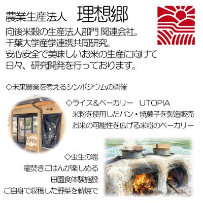 【令和7年産】理想郷　ミルキークイーン　玄米5kg　金賞・千葉大学共同研究米