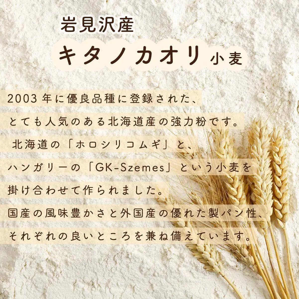 ワインに合うパンセット石窯焼き全粒粉ブールパンとチーズパン｜ ベーカリーカンスケ【19103】