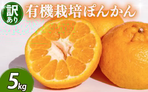 【早期予約 2026年2月上旬より順次発送】 【有機JAS認定】有機ぽんかん L・2Lサイズ混合 5kg