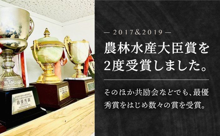 【全6回定期便】佐賀牛 赤身セット（800g）【田中畜産牛肉店】 [HBH022]