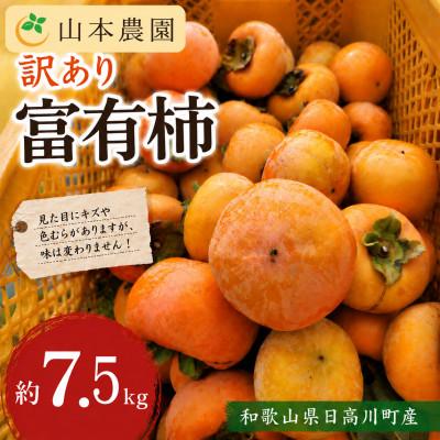 ふるさと納税 日高川町 【訳あり】和歌山県産　富有柿(サイズ混合)　甘くて濃厚　約7.5kg