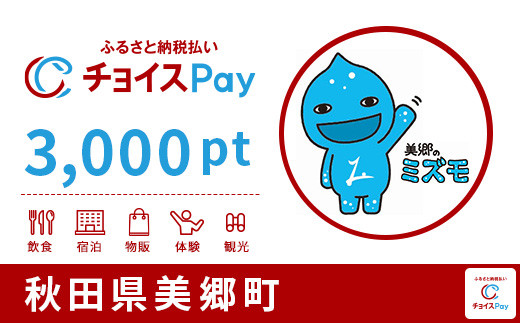 
美郷町チョイスPay 3,000pt（1pt＝1円）【会員限定のお礼の品】
