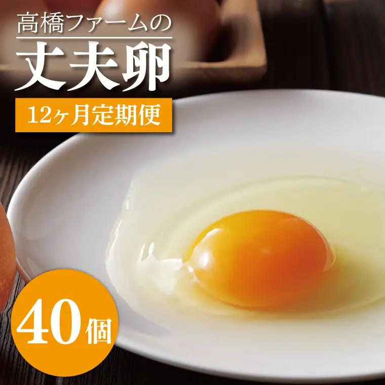 平飼いたまご 定期便 40個 年12回 高橋ファームの丈夫卵 もみじ AQ016