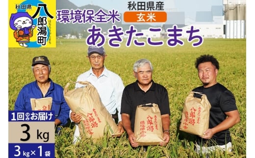 【玄米】令和7年産 秋田県産 あきたこまち 環境保全米 3kg (3kg×1袋)