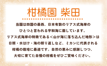 ＜ニューサマーオレンジ 家庭用 約3kg＞ 訳あり わけあり 自宅用 果物 フルーツ みかん ミカン 蜜柑 オレンジ 柑橘 にゅーさまーおれんじ 選べる 食べて応援 特産品 柑橘園柴田 愛媛県 西予市