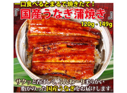 国産うなぎ蒲焼5本セット（1本：120～149g）(B449-2)