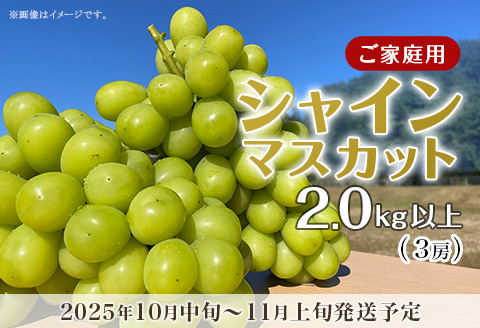 【訳あり】シャインマスカット3房（2.0kg以上）【2026年10月中旬～11月上旬発送予定】（星のさと・ぶどう工房）