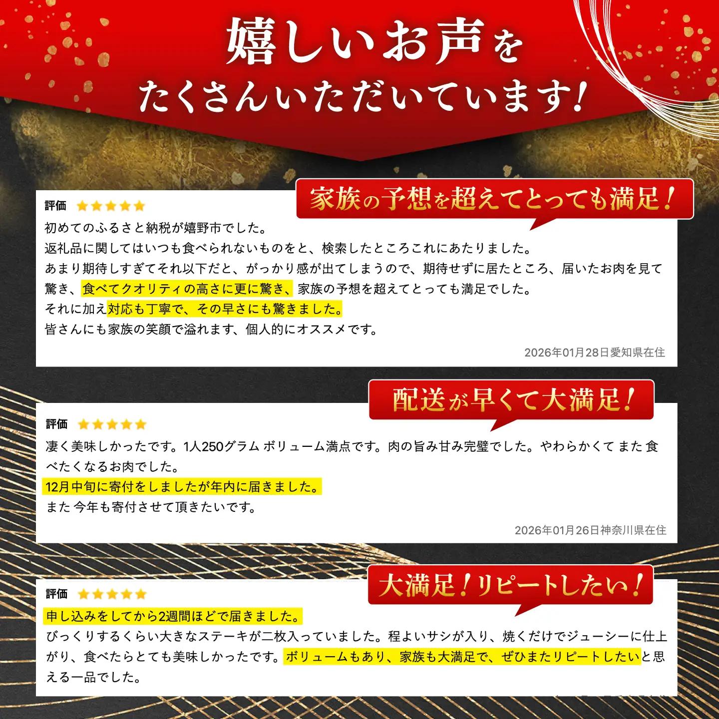【定期便】 牛肉ステーキ 佐賀牛 総計6.0kg NAB064 牛肉ステーキ 全12回
